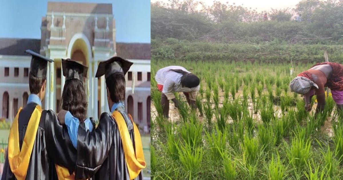 Farmer Advising Internship(কৃষকদের পরামর্শ দেওয়ার ইন্টার্নশিপ)