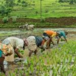 Farmers' friends' money entered the bank accounts of Bengal's farmers(বাংলার চাষীভাইদের ব্যাংক একাউন্টে ঢুকলো কৃষক বন্ধুর টাকা)