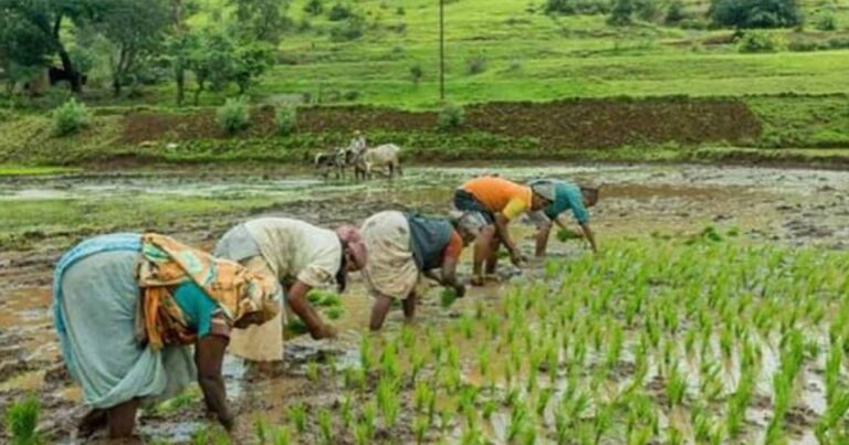 Farmers' friends' money entered the bank accounts of Bengal's farmers(বাংলার চাষীভাইদের ব্যাংক একাউন্টে ঢুকলো কৃষক বন্ধুর টাকা)