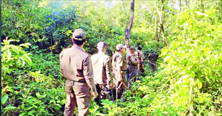 Multiple job opportunities in the Forest Department(ফরেস্ট ডিপার্টমেন্টে একাধিক চাকরির সুযোগ)