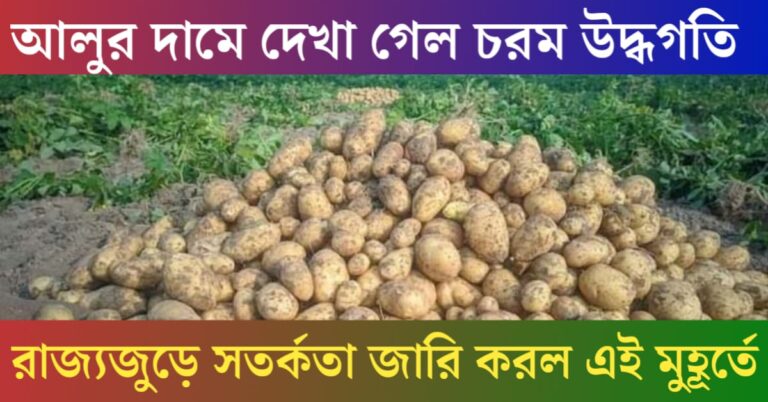 potato price today​